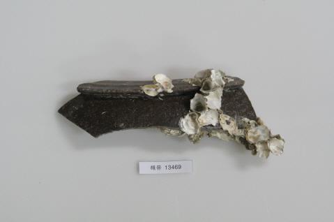 옹기부연구편 썸네일